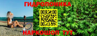 крисы Краснодар